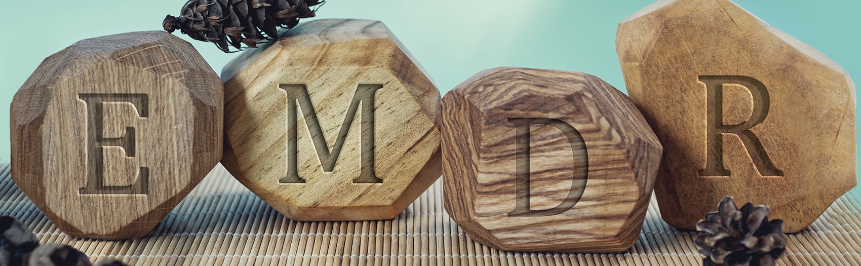 Wooden blocks with the letters E, M, D, and R